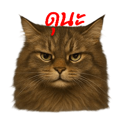 แมวแสนแสบ...