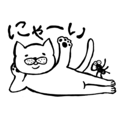 lovely kimagure cat