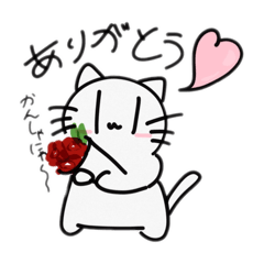 Sironeko white_20250620081844