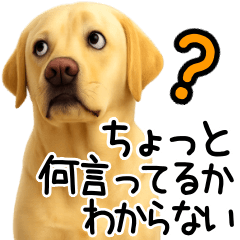 Labrador Retriever Reply Stickers
