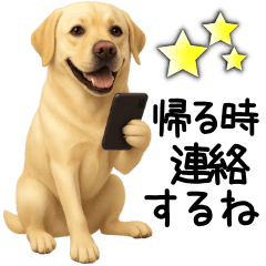 Labrador Retriever Family Message