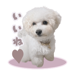 yunomama_20250623082400