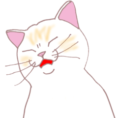 Sasakama Cat Days [Resale]