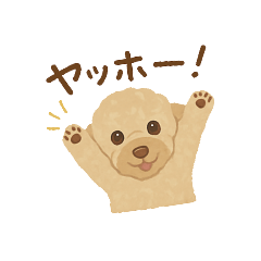 Toy Poodle Daily Use Stamps