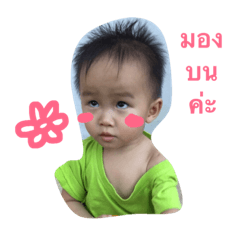 ha555