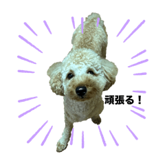 mo ko_20250623191333