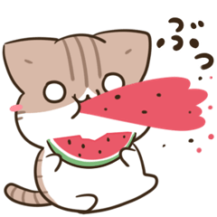 毎日五月病なねこたち 夏スタンプ３