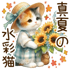 思いやりの真夏の水彩猫❁⃘*