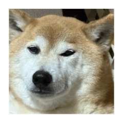 bb_20250623183123