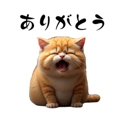 cat cat cat cat cat cat cats