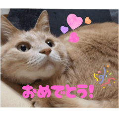 Nanami_20250623224606