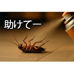 Cockroaches want to be loved