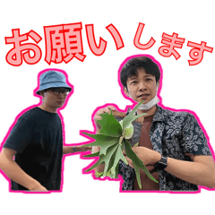 あくる日もホビーズ【第1弾】