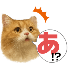 tonton_20250624132406