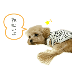 yuchi_20250624172601