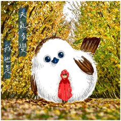 Rain or Shine, Still Me