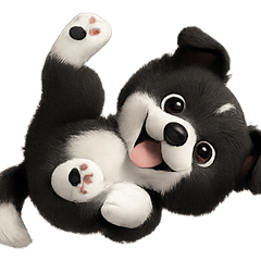 Border Collie Vivi-chan
