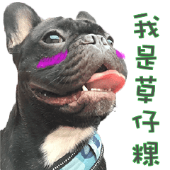 法鬥狗狗草仔粿每日心情 Line貼圖 Line Store