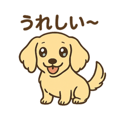 犬、ミニチアダックス