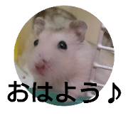 Hamsterzu