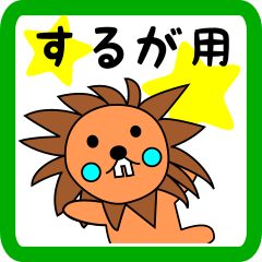 するが用 ライオンけいたん