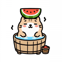 Bath Cat Eating Watermelon,
