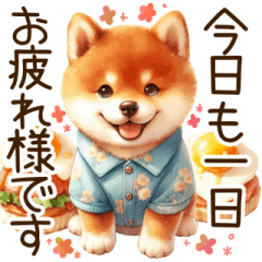 感情爆発の柴犬☆彡
