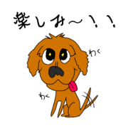 cavapoo monja.
