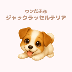 ワンだふる｜ジャックラッセルテリア