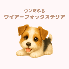 ワンだふる｜ワイアーフォックステリア