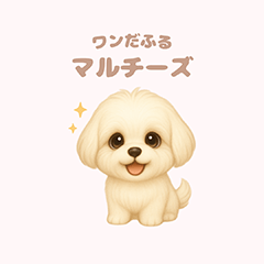 ワンだふる｜マルチーズ
