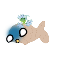 michelle_20250625142705