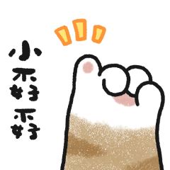 貓咪的胖手手很有戲 (橘貓)