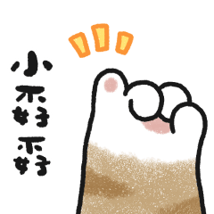 貓咪的胖手手很有戲 (橘貓)