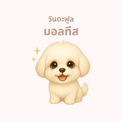 ワンだふる｜マルチーズ【タイ語】