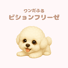 ワンだふる｜ビションフリーゼ