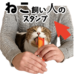 猫を飼っている人ためのスタンプ