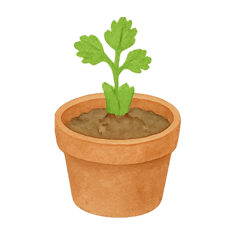 Mini Veggie Garden