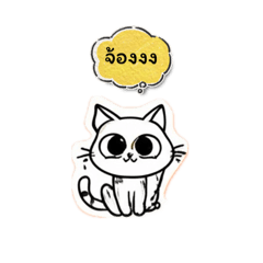 The mischievous and annoying little cat