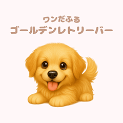 ワンだふる｜ゴールデンレトリーバー