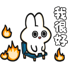 Rabbit22 is coming3