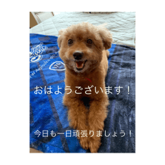 melody_20250625214600