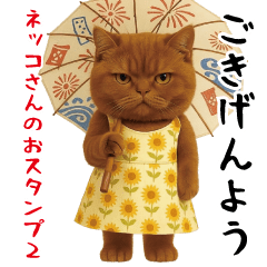 Easy-to-use cat sticker2.