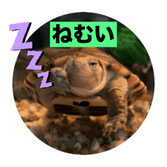 hinata_20250625222324