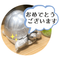 asako_20250626060811