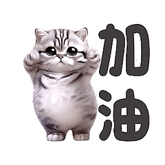 Dance Mania Animals - Q ASH (HD)