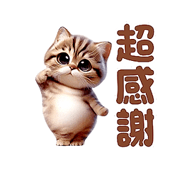 Dance Mania Animals - Q Tabby 2 (HD)