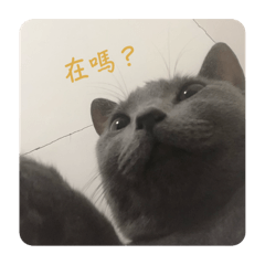 Kiki·-·