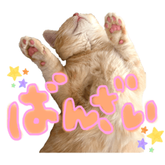 bunzo_cat_stamp