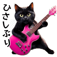 Rock'n'Cat 15